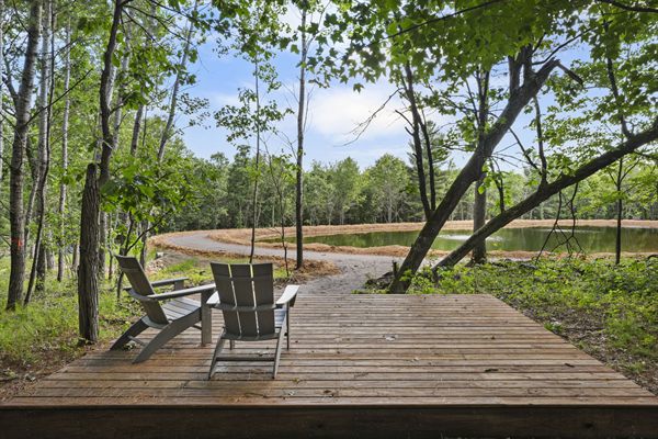 Aerial view of Oak and Ember cabins, pond, and wooded acreage