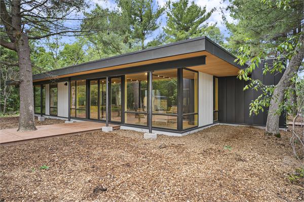 The Pines modern cabin exterior nestled among mature pines